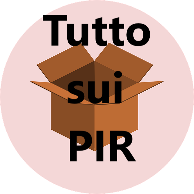 Pir